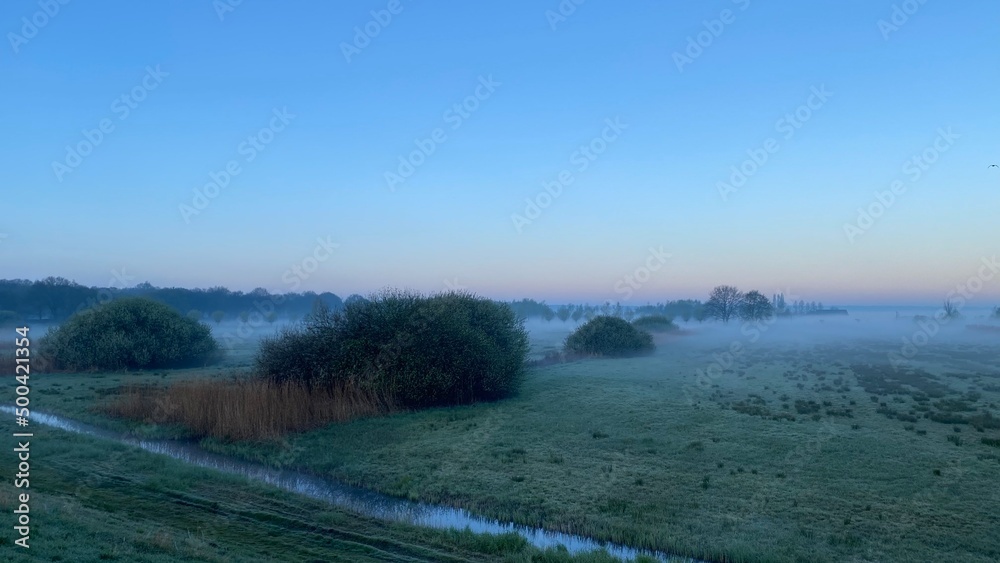 Foggy morning in a Dutch polder near Den Bosch Foggy morning in a Dutch polder near Den Bosch