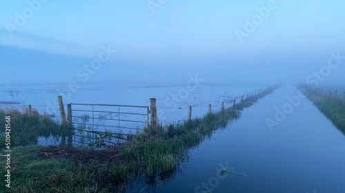 Photo Foggy morning in a Dutch polder near Den Bosch