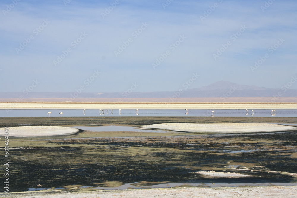 Salt lagunas and volcanos and red rocks southern from San Pedro de Atacama. Stunning scenery in evening sunlight at Atacama desert, Chile, South America
