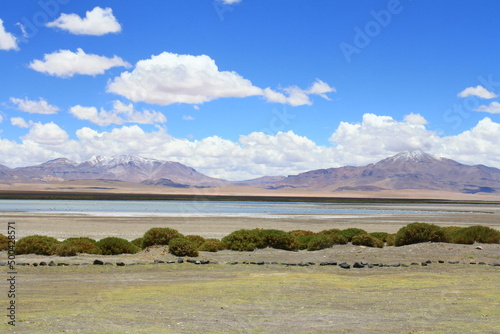 Fototapeta Naklejka Na Ścianę i Meble -  The landscape of the Atacama Desert in Chile, with clouds, volcano, lagunas, sand and salt.