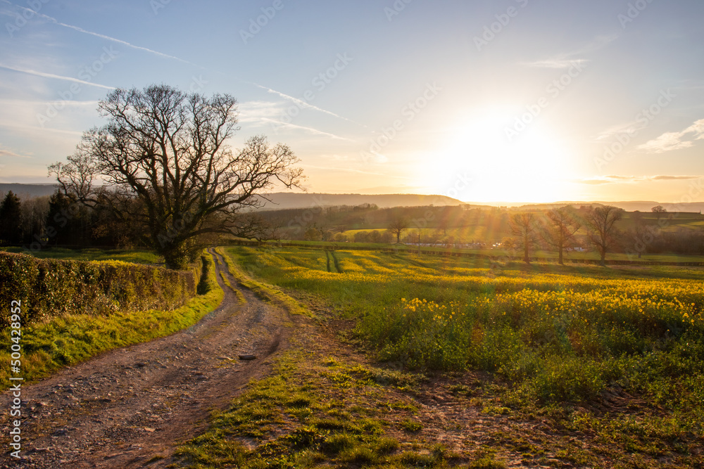 Sunset in the countryside abstract.