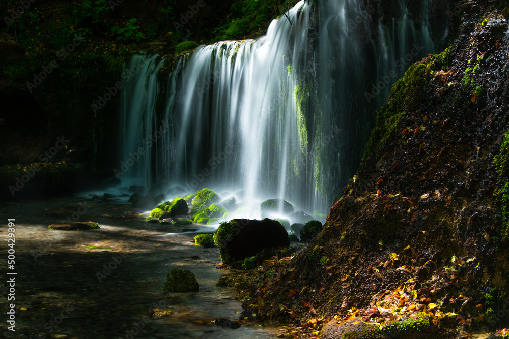 Fototapeta premium Shiraito Fall