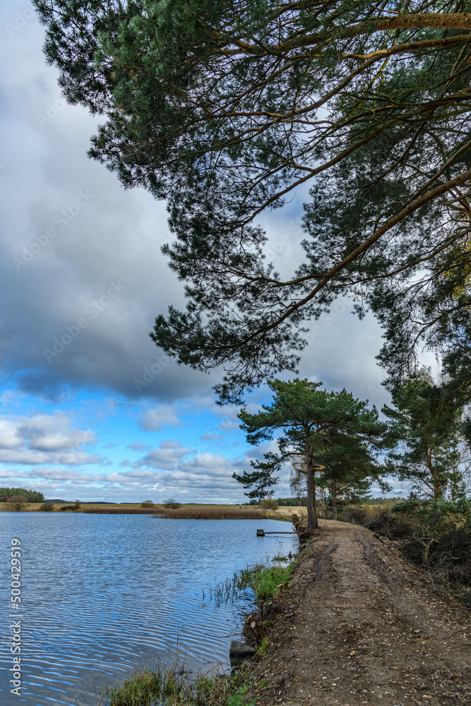 autumn landscape with pond, path and grey clouds