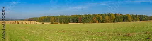 panorama view on landscape with fields and forest in autumn