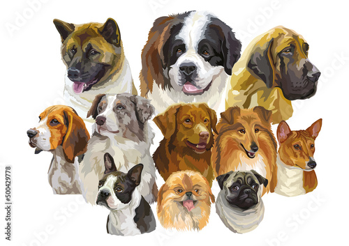 Realistic dogs of different breeds big vector illustration