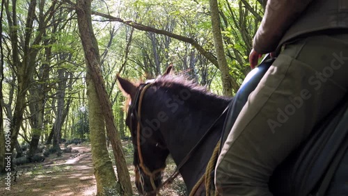 Passeggiata a cavallo nel bosco.
Escursione a cavallo tra i sentieri della foresta. photo