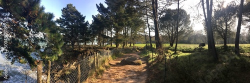 sur les sentiers entre Cap Coz et Beg Meil en Finistère Cornouaille Bretagne France photo