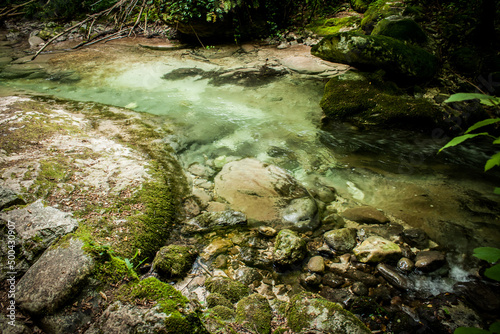 Ruscello circondato da rocce e fitta vegetazione