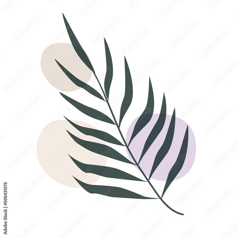 Abstract palm leaf minimalist boho style, plant for postcard, botanical wall print, wallpaper, cover, vector