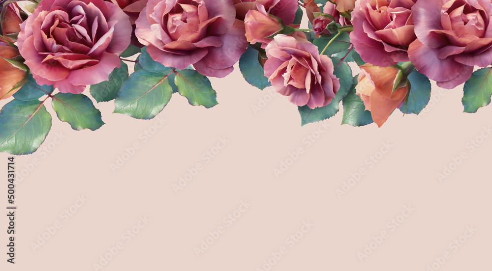 Floral banner, header with copy space. Red roses and iris isolated on