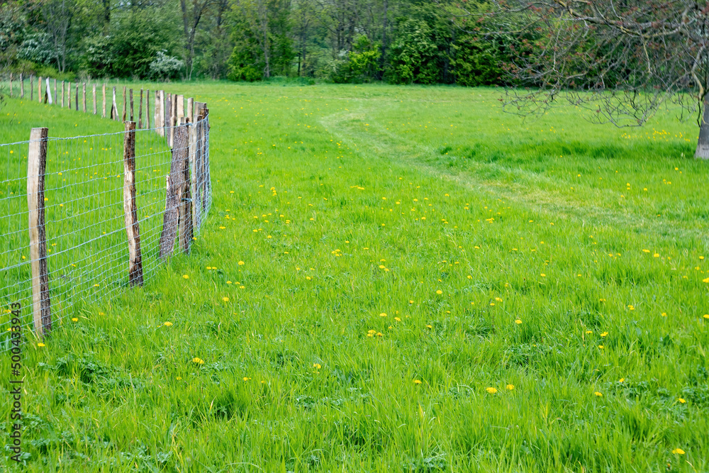 fence in the field fence in the field