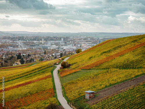 Blick auf Heilbronn und die Weinberge im Herbst, Baden-Württemberg