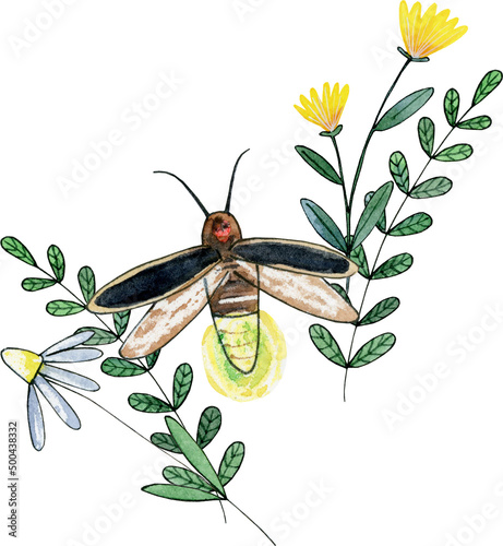 cute garden insect illustration clipart, watercolor floral sublimation designs, Firefly, glowworm, lightning bug, flying bug, betlee,