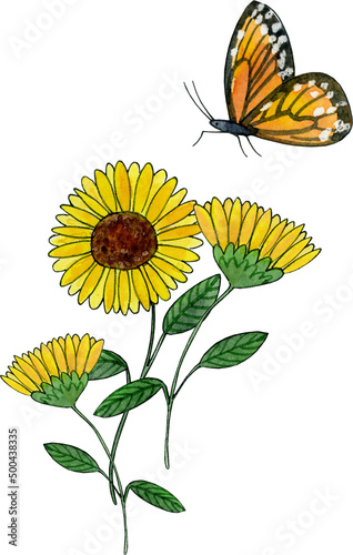 cute garden insect illustration clipart  watercolor floral sublimation designs  butterfly