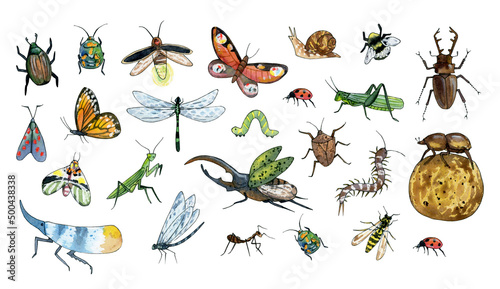 Tablou canvas cute garden insect illustration clipart, watercolor flower clip art, bug, betlee