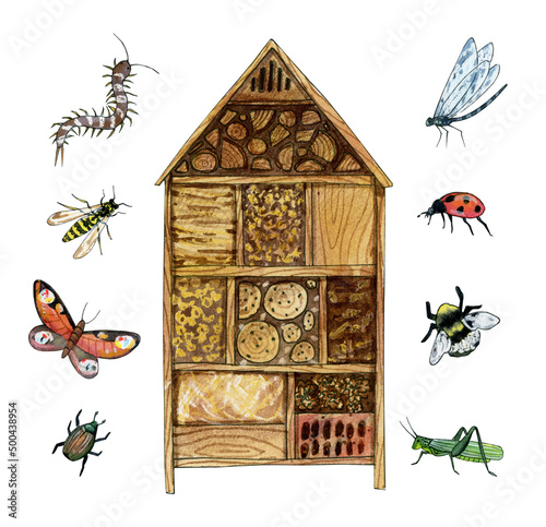 cute bug hotel illustration, insect house clipart, watercolor fairy garden sublimation designs, summer scenes image clipart © lyubovzaytseva