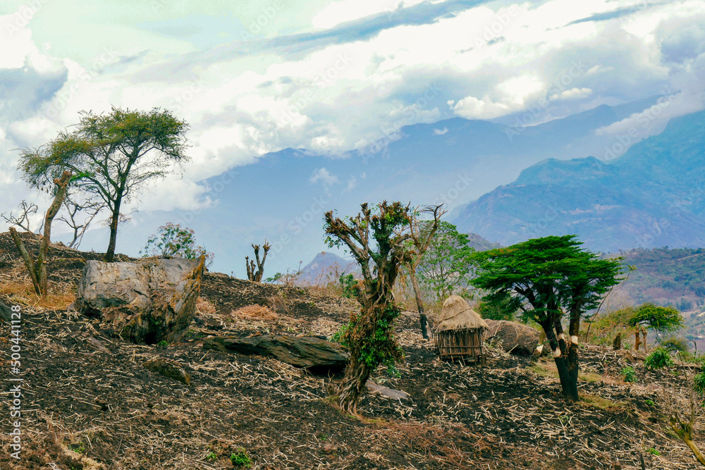 Scenic mountain landscapes against a foggy background at Mount Mtelo, West Pokot, Kenya