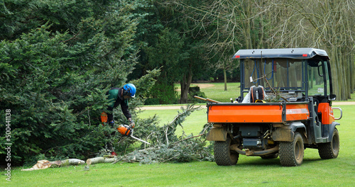 Gardener working with chainsaw on tree and  utility vehicle