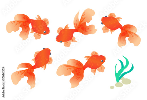 Japanese style goldfish pattern set, various swimming goldfish