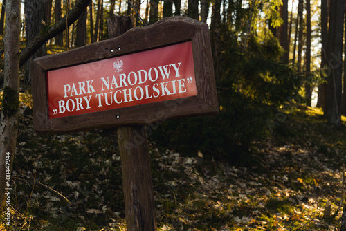 Wodden sign with writing National Park Bory Tucholskie standing in the middle of the forest. Sign post in dark brown colour and red background in woodland and afternoon sunshine