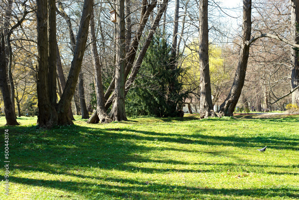Park with green grass and trees.