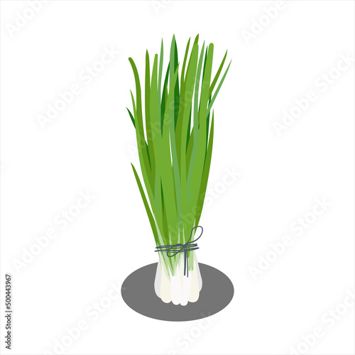 bunch of green spring onion