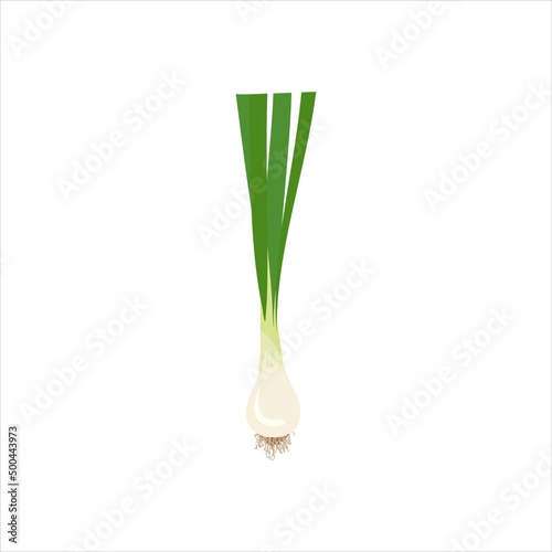 green onion isolated on white