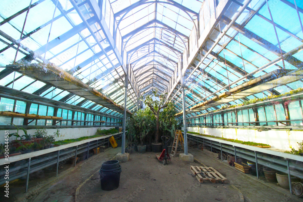 Abandoned greenhouse from the inside. Glass and steel agricultural architecture.