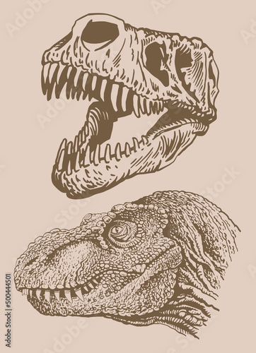 Graphical vintage set of skulls of tyrannosaurus , sepia background,paleontological elements 