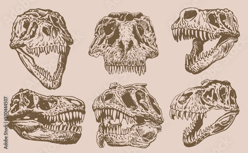 Graphical vintage set of skulls of tyrannosaurus , sepia background,paleontological elements 