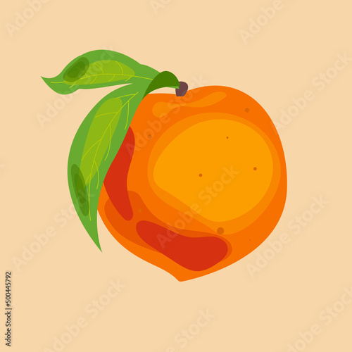 A bright peach in watercolor style