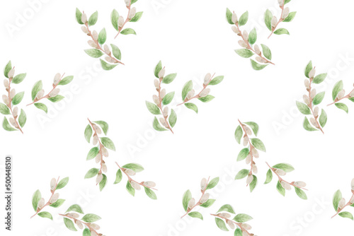 Watercolor willow twigs isolated on white background. Template for holiday  greeting card  print or background.