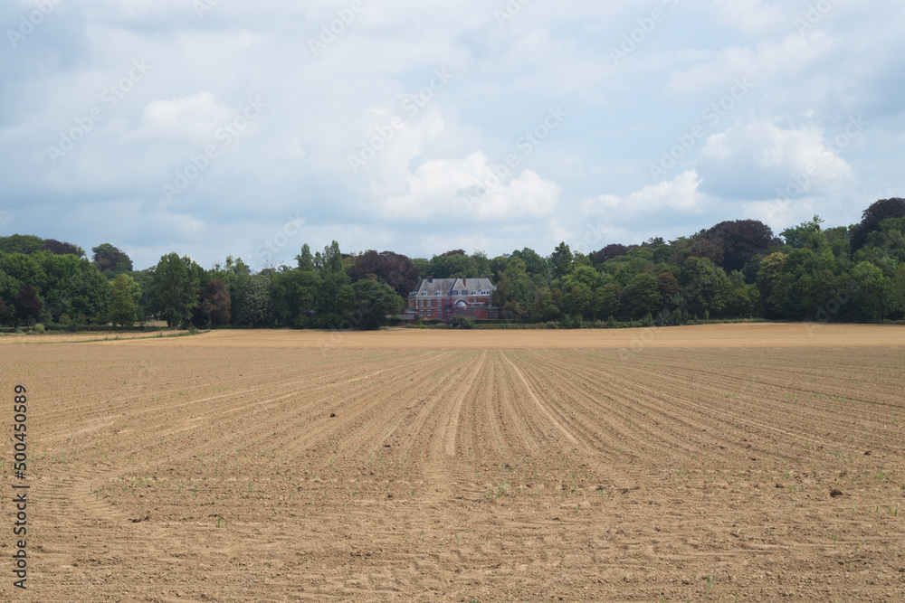 plowed field and sky plowed field and sky