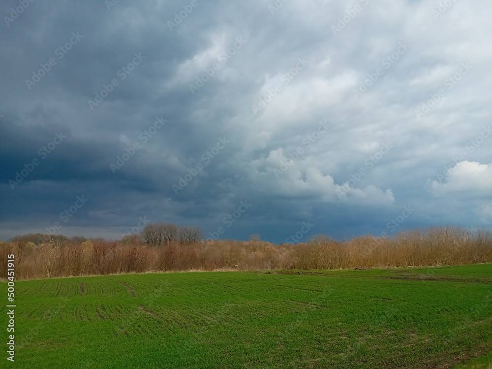 Fototapeta premium field and sky