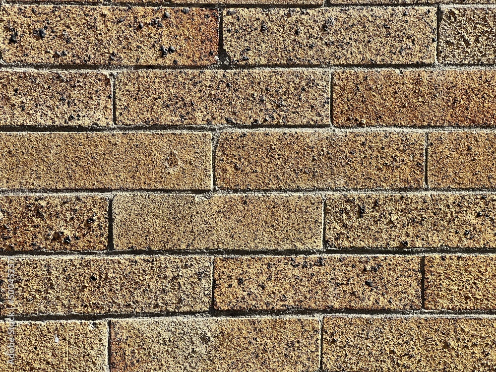 Obraz premium Brick wall texture