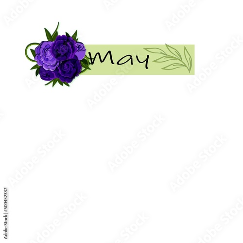 May, calendar, spring, peonies, lilac peonies, purple peonies, peony leaf, leaves, flowers, name of the month, month of the year, month of spring, yellow bird, name on a green background, calendar she