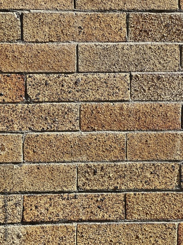 Vertical brick background