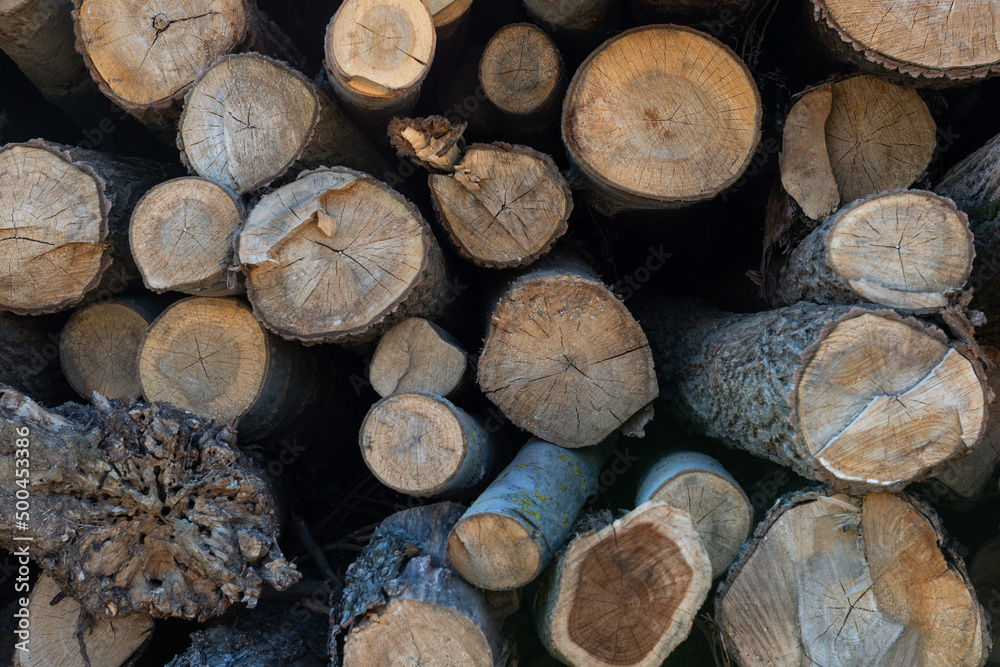 Logged tree trunks or pile of wood prepared for transport, three. Logged tree trunks or pile of wood prepared for transport, three.