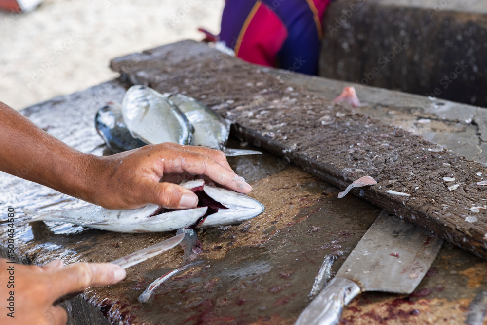 Ταπετσαρία Fisherman gutting a jack fish on a stone surface at the Playa Grandi / Playa Pis