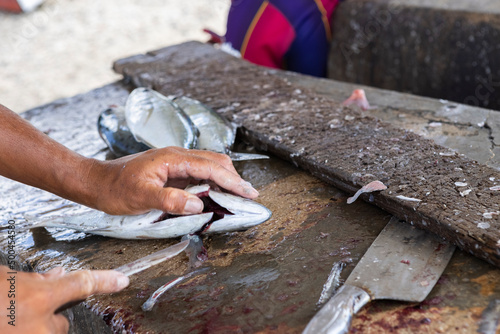 Foto Fisherman gutting a jack fish on a stone surface at the Playa Grandi / Playa Pis