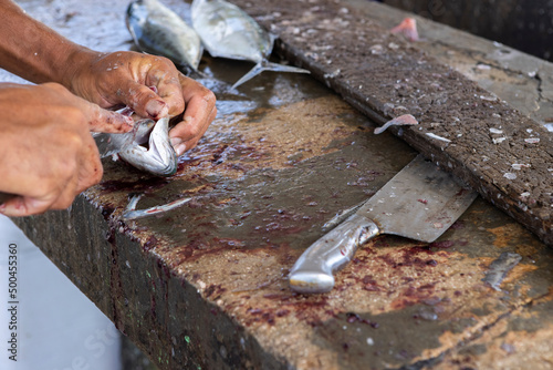 Foto Fisherman gutting a jack fish on a stone surface at the Playa Grandi / Playa Pis