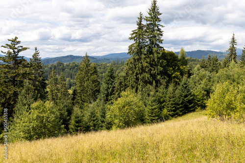 Panorama of mountains in the Ukrainian Carpathians on a summer day.