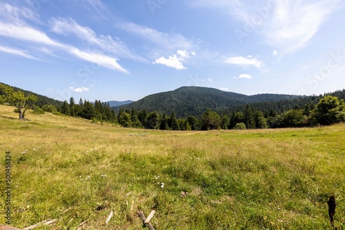 Mountain landscape in Ukrainian Carpathians in summer.