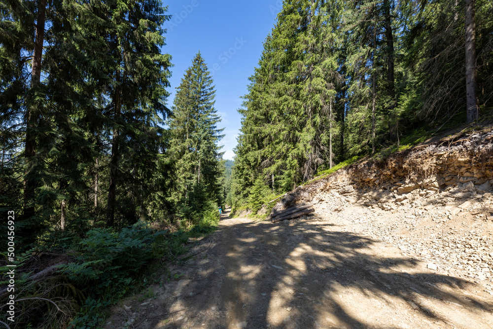 Fototapeta premium Mountain dirt road in the Ukrainian Carpathians on a summer day.