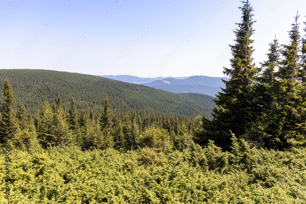 Fototapeta premium Mountain landscape in Ukrainian Carpathians in summer.