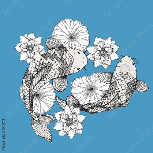 Koi carps swim in water with lilies. Vector illustration. Tattoo print. Hand drawn illustration for t-shirt print, fabric and other uses.