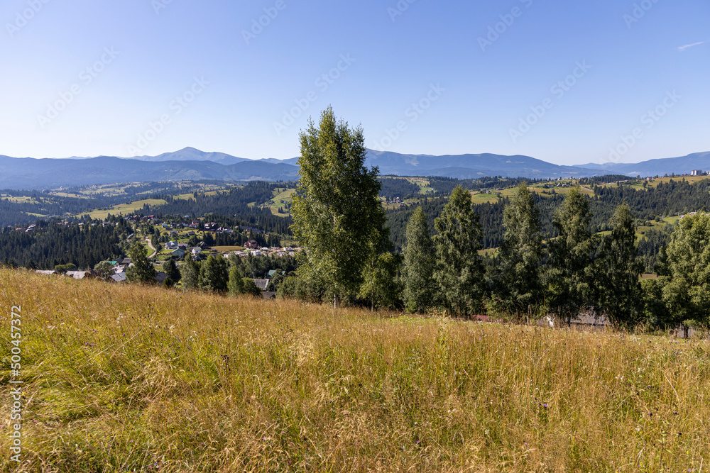 Mountain landscape in Ukrainian Carpathians in summer.