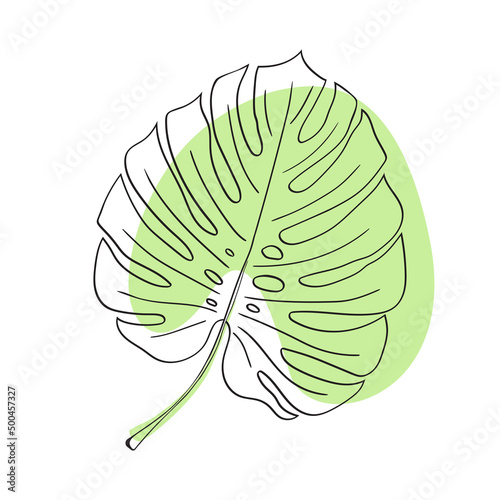 Tropical leaf. Hand-drawn monstera leaf. Vector plant illustration. Exotic plant. Minimalistic monstera illustration. Line art. Floral illustration. Botanical summer illustration. Boho home decor. 