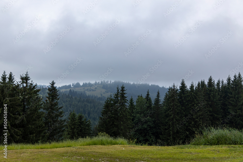 Panorama of mountains in the Ukrainian Carpathians on a summer day. Panorama of mountains in the Ukrainian Carpathians on a summer day.