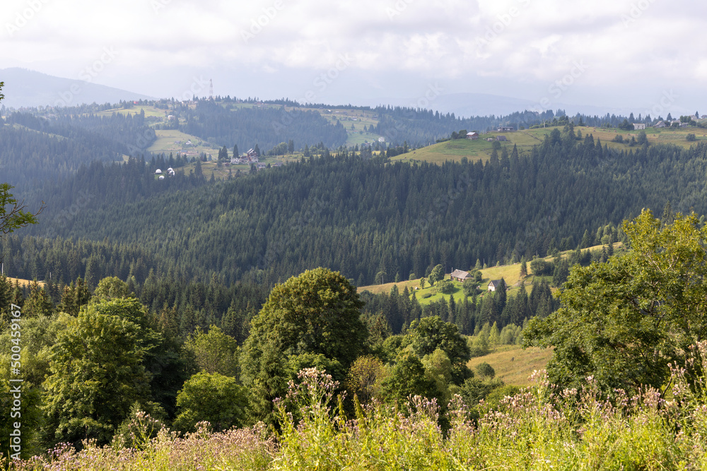 Naklejka premium Panorama of mountains in the Ukrainian Carpathians on a summer day.